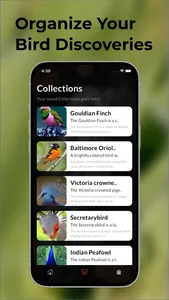 Bird Identifier: Picture sound screenshot 2