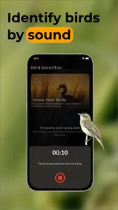 Bird Identifier: Picture sound screenshot 4