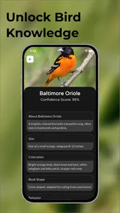 Bird Identifier: Picture sound screenshot 5