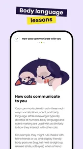 Meowz: Cat Training, Pet Care screenshot 7