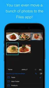 File Camera screenshot 3