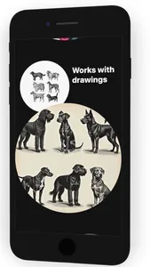 Legal Pirate Photo Clone screenshot 5