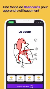 Hippocast screenshot 2