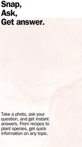 SnapAsk AI screenshot 0