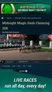 Photo Finish LIVE screenshot 2