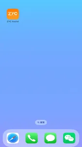 ZYC Assist screenshot 3