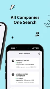 Companies House screenshot 1