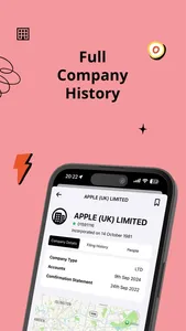 Companies House screenshot 2