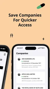 Companies House screenshot 5