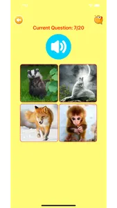 Learn Norwegian Vocabulary screenshot 6
