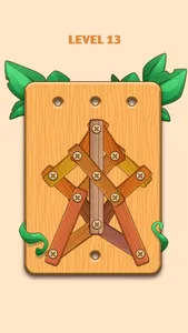 Unscrew Wood Nuts & Bolts Game screenshot 1