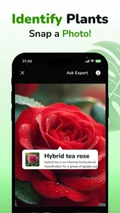 Plant ID & Disease Identifier screenshot 0