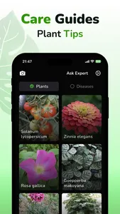 Plant ID & Disease Identifier screenshot 3