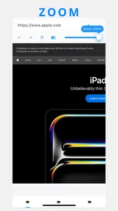 Desktop Browser : Zoom & Tabs screenshot 2