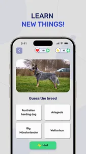 Dog Breeds - Quiz Guess Game screenshot 1