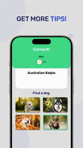 Dog Breeds - Quiz Guess Game screenshot 2