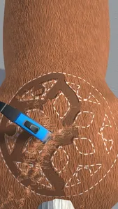 Horse Care Beauty Salon screenshot 0