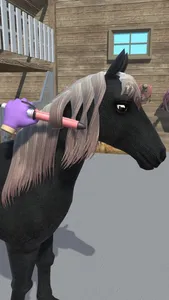 Horse Care Beauty Salon screenshot 2