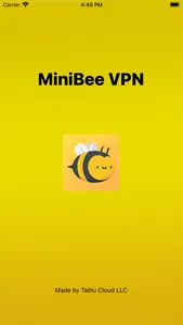 MiniBee VPN screenshot 0