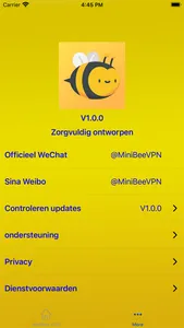 MiniBee VPN screenshot 2