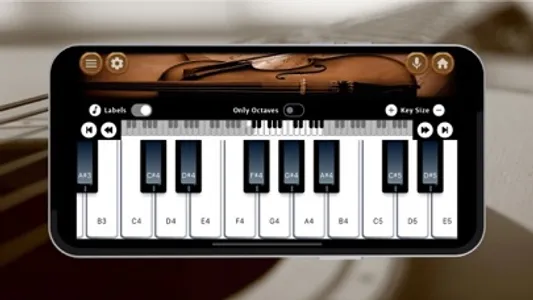 Violin Instrument screenshot 2