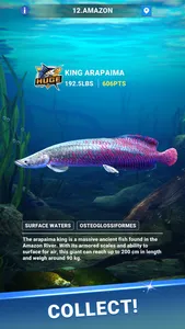 Fishing Travel screenshot 5