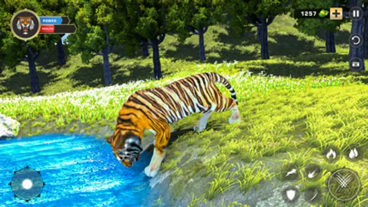 Tiger Family Hunt Simulator screenshot 2