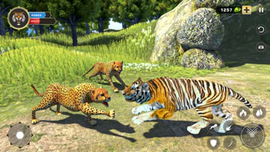 Tiger Family Hunt Simulator screenshot 3