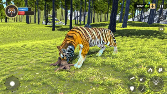 Tiger Family Hunt Simulator screenshot 4