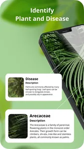 Plant Disease Identification screenshot 0