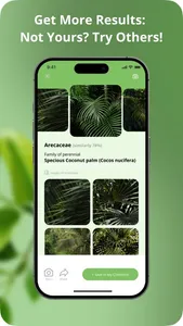 Plant Disease Identification screenshot 4
