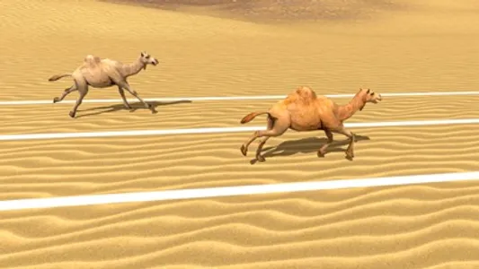 Camel Family Simulator Game screenshot 3