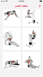 Fit Pro: Home & Gym Workouts screenshot 3