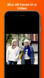 Video Face Blur screenshot 0