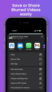 Video Face Blur screenshot 2