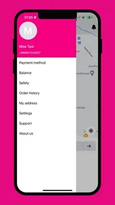 Miss Taxi screenshot 3