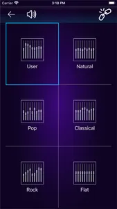 Blaupunkt 1D screenshot 4