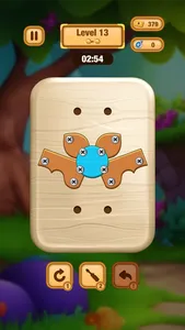 Wood Nuts & Bolts Challenge screenshot 3