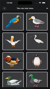 Bon Bon Game screenshot 3