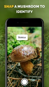 Mushroom identifier Picture ID screenshot 0