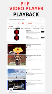 Pip Video Player screenshot 0