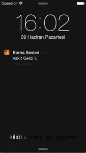 Korna Sesleri screenshot 2