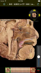 Medical KOS screenshot 2