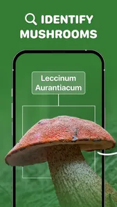 Mushroom ID: Identifier finder screenshot 0