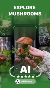 Mushroom ID: Identifier finder screenshot 2