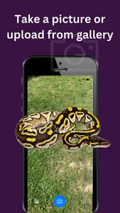 Snake Detector: AI Scanner screenshot 1