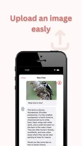 Bird Identifier - Bird+ screenshot 2