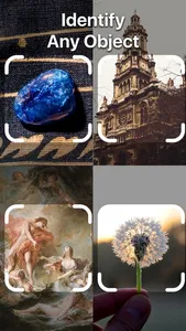 Lens Scan: Identify Anything screenshot 0