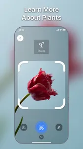 Lens Scan: Identify Anything screenshot 1