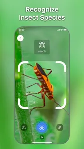 Lens Scan: Identify Anything screenshot 2